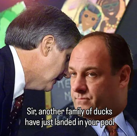 Another Family of Ducks