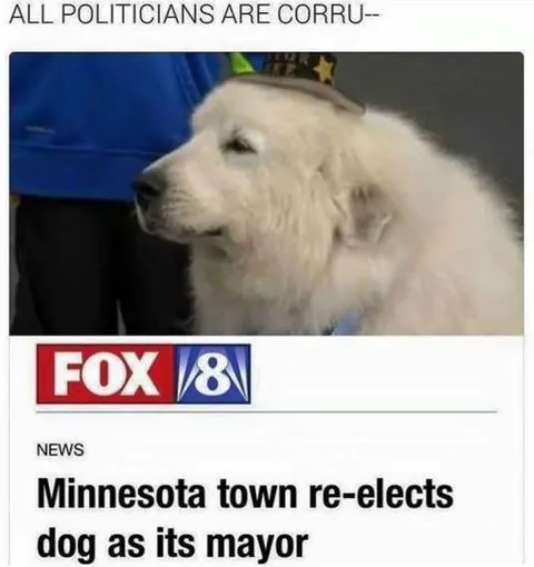 Dog Re-Elected Mayor