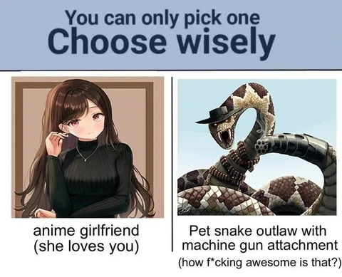 Anime Girlfriend or Snake Outlaw