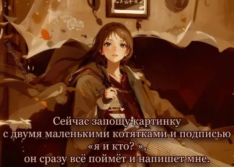Картинка с двумя котятами