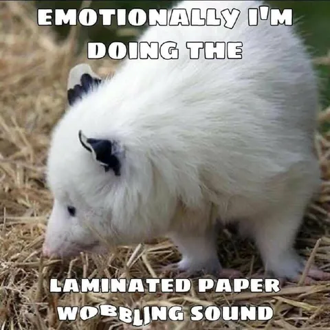 Emotionally Laminated Paper Wobbling Sound