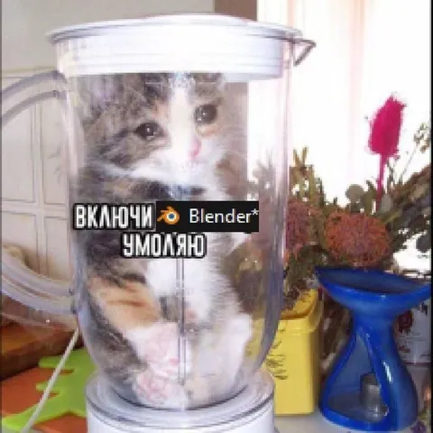 Кот умоляет включить Blender