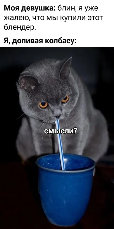 Кот допивает колбасу