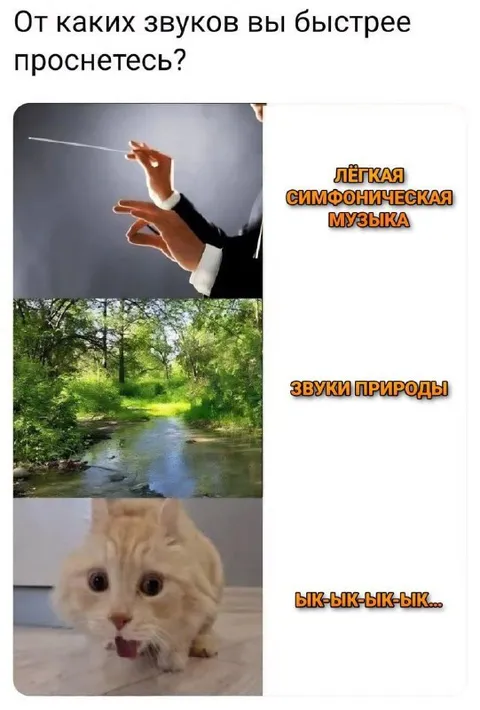 От каких звуков вы быстрее проснетесь