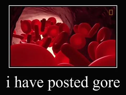 i have posted gore