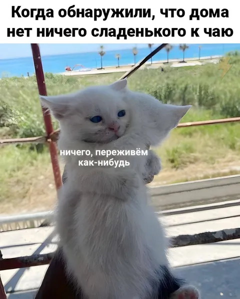 Когда дома нет сладкого к чаю