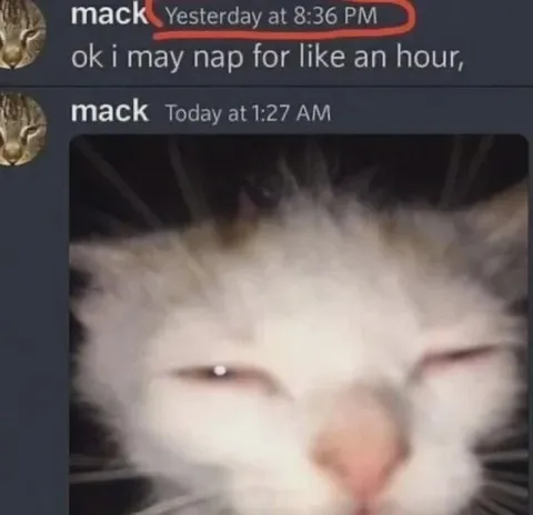 One-Hour Cat Nap