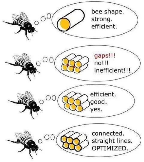 Bee Optimizes the Gaps