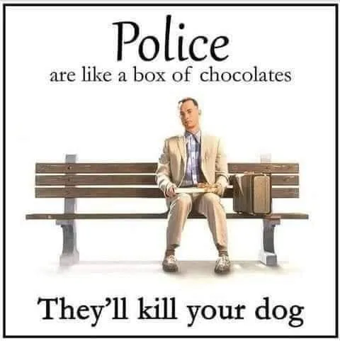 Police Box of Chocolates