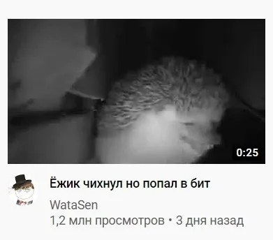 Ёжик чихнул, но попал в бит