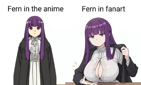 Fern in Anime vs Fanart