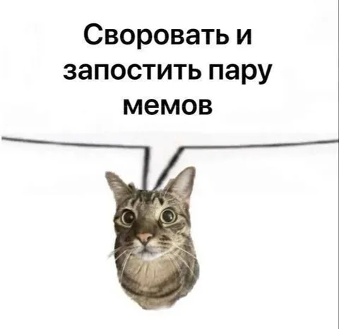 Своровать и запостить пару мемов