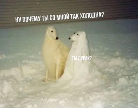 Почему ты со мной так холодна