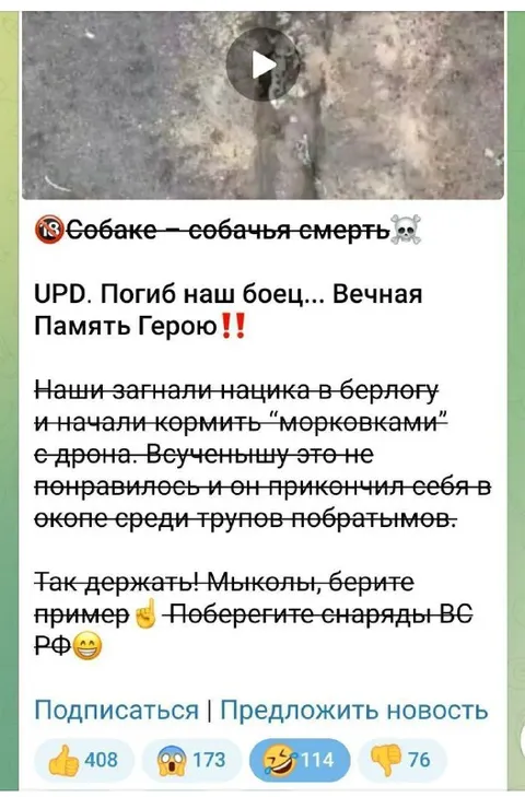 Собаке собачья смерть