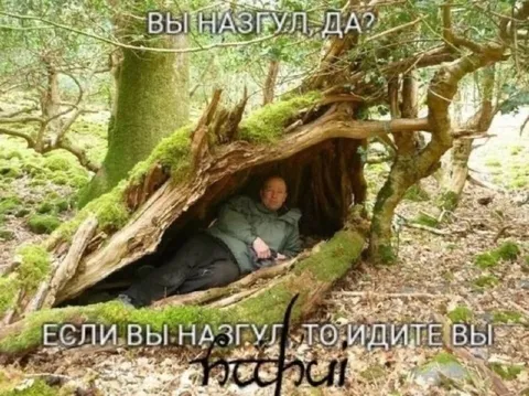 Если вы назгули, идите нахуй