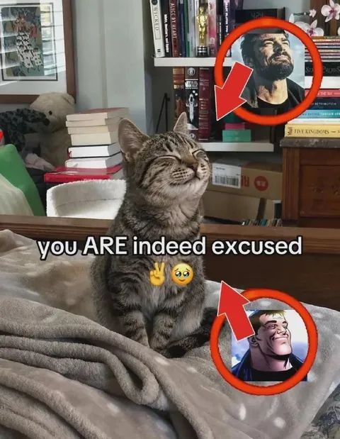 You Are Indeed Excused Cat