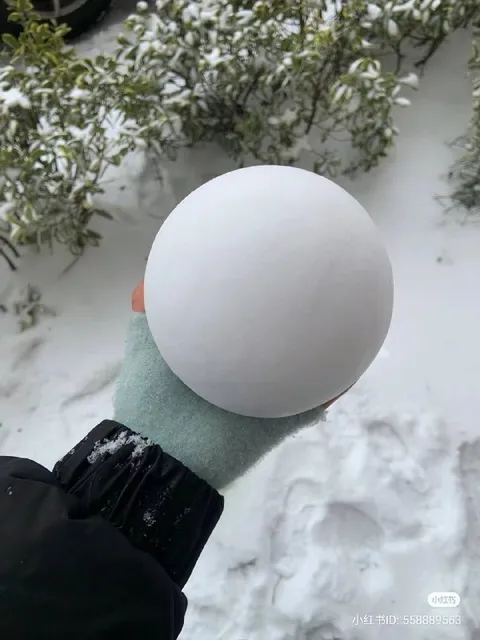 Идеальный снежный шар
