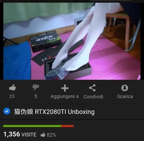 RTX2080Ti 开箱猫伽娘