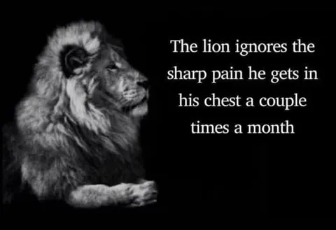 Lion Ignores Chest Pain