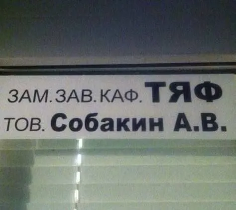 Товарищ Собакин А.В.
