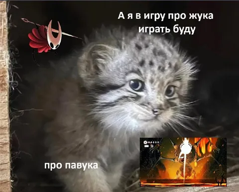 Игра про жука и паука