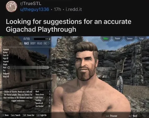 Accurate Gigachad Skyrim Playthrough