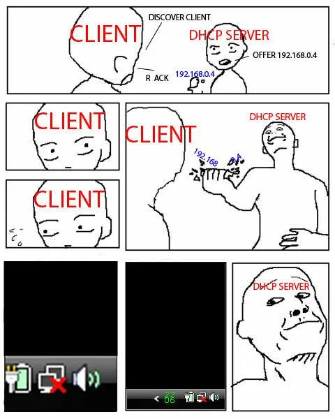 DHCP Server Offers an IP