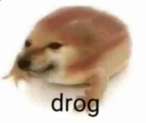 Drog Seal Meme