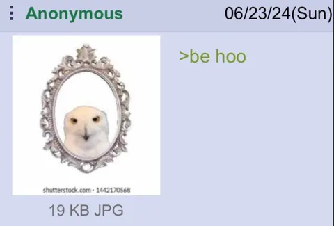 Be Hoo Owl Reflection