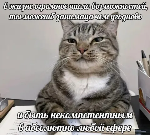 Кот может заниматься чем угодно
