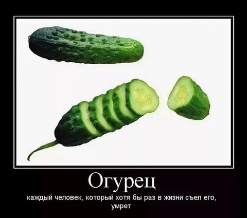 Огурец, который съели
