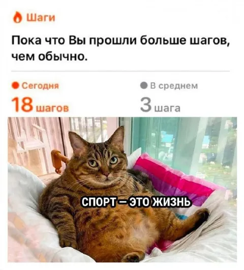 Спорт — это жизнь