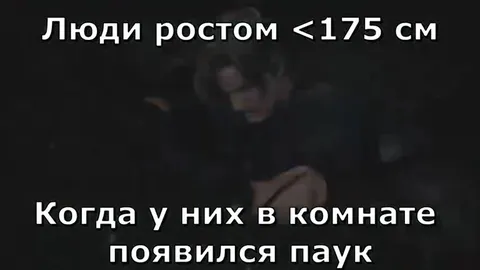 Люди ниже 175 и паук