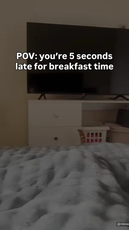 Cat Arrives for Breakfast