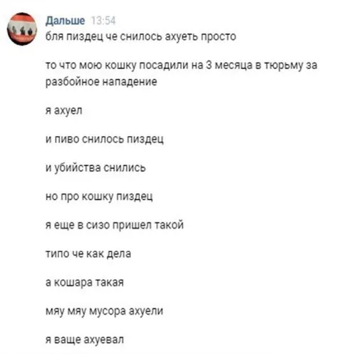 Кошку посадили за разбойное нападение
