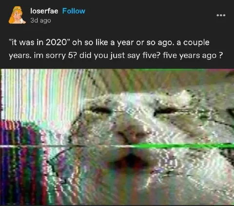 Five Years Ago Cat Glitch