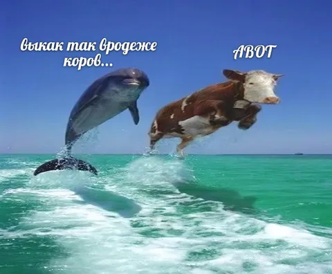 Дельфин и корова летят по морю