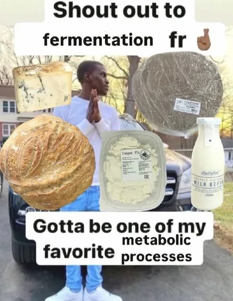 Shout Out to Fermentation