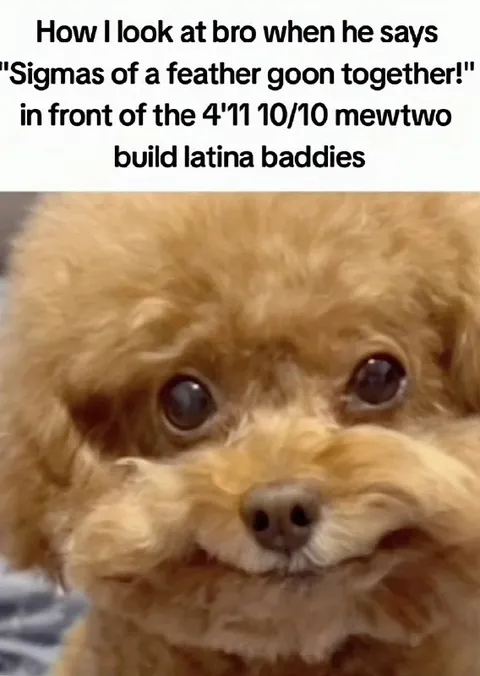Puppy Hears the Sigma Plan