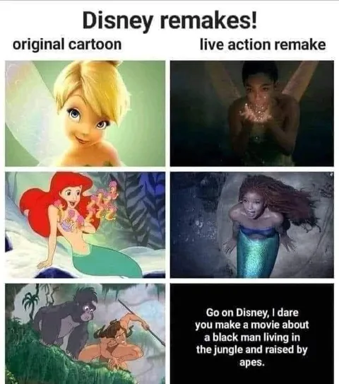 Disney Live Action Remakes