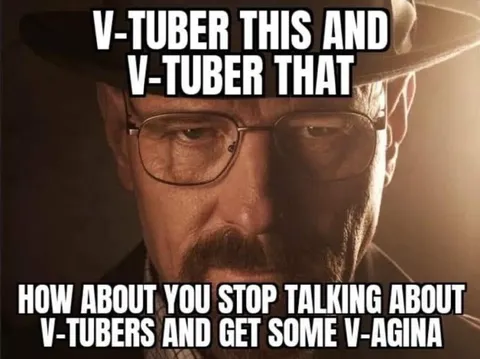 Stop Talking About V-Tubers
