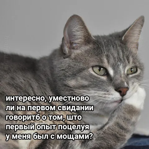 Первый опыт с мощами