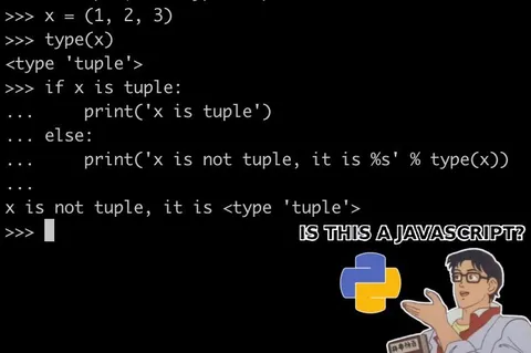 Python Tuple Confusion