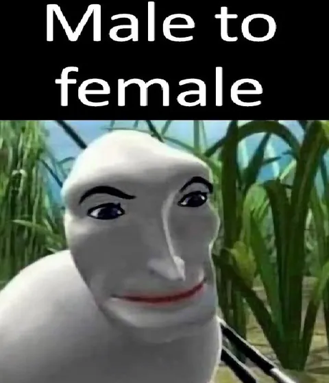Male to Female Transformation