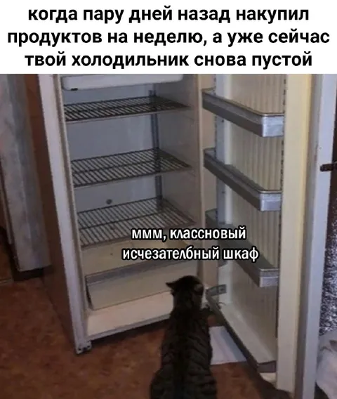 Исчезательный шкаф вместо холодильника
