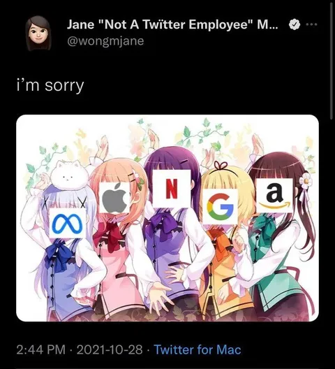 I'm Sorry Big Tech Girls