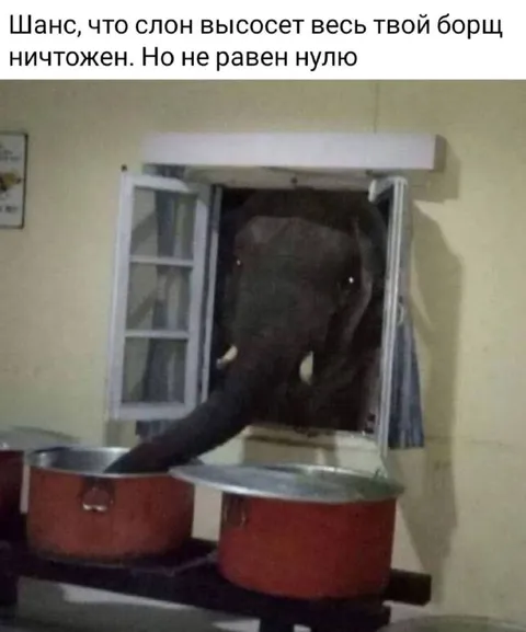Слон высосет весь борщ
