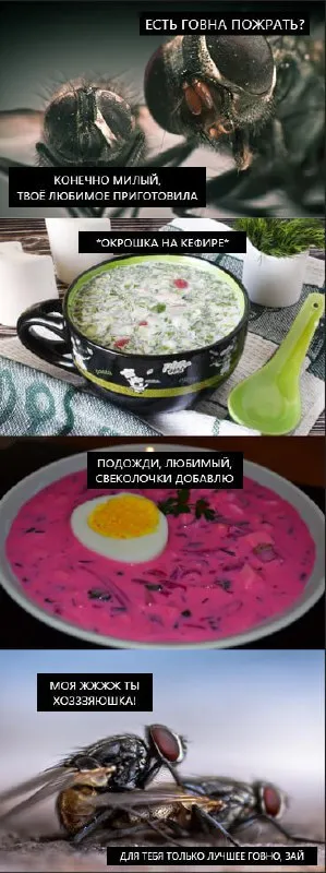 Жуки готовят окрошку