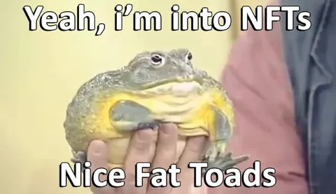 Yeah, I’m Into NFTs Fat Toad