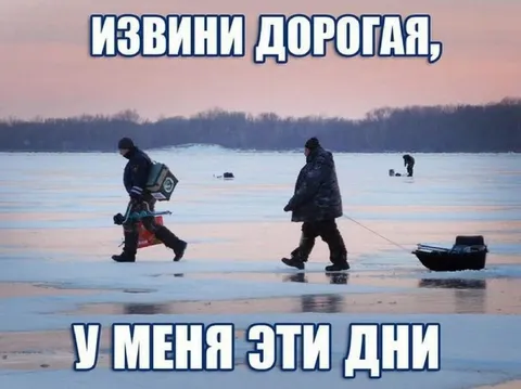 Извини дорогая, у меня эти дни